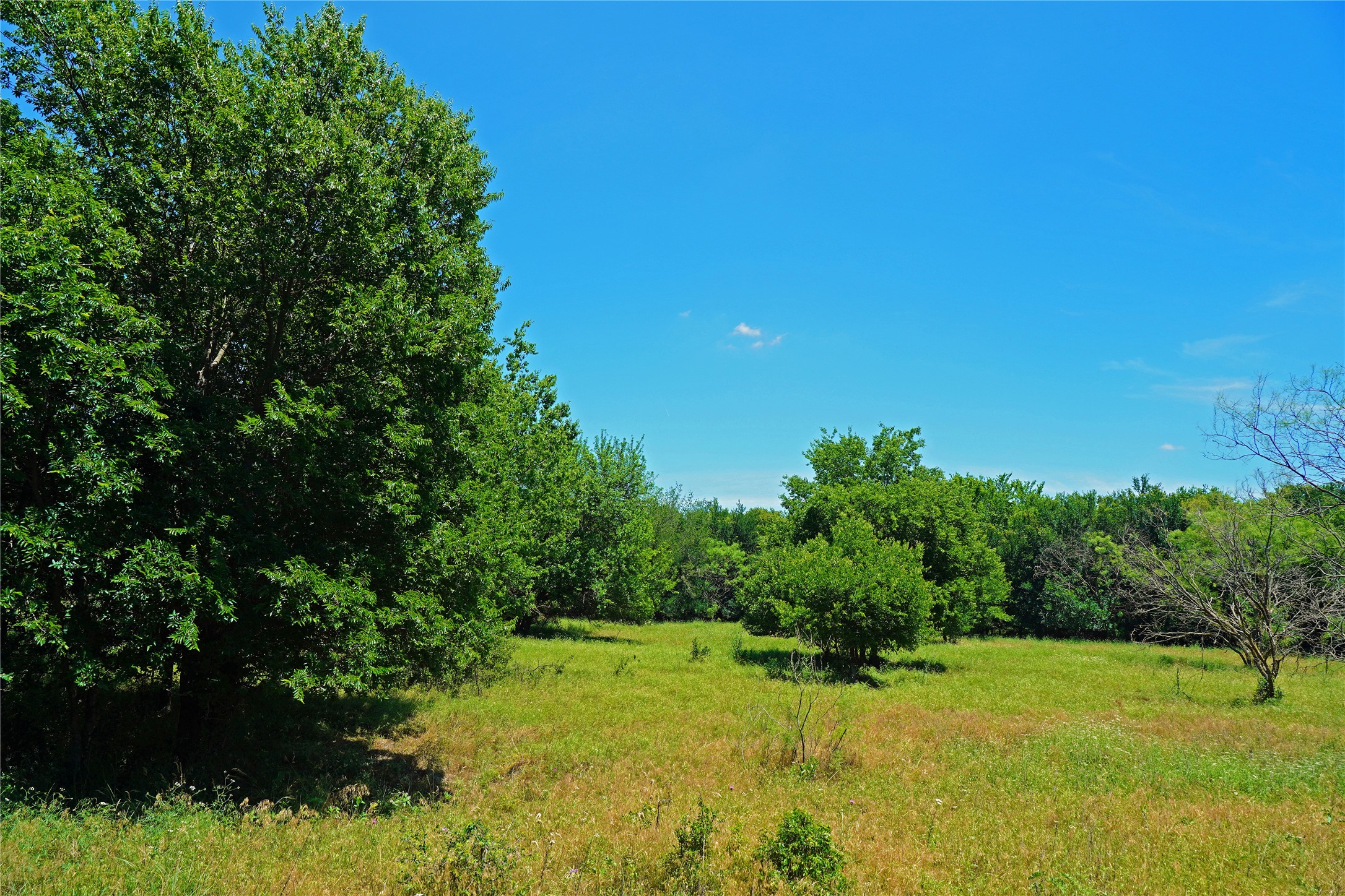 36 Acres Fm 2210 Perrin TX 76486