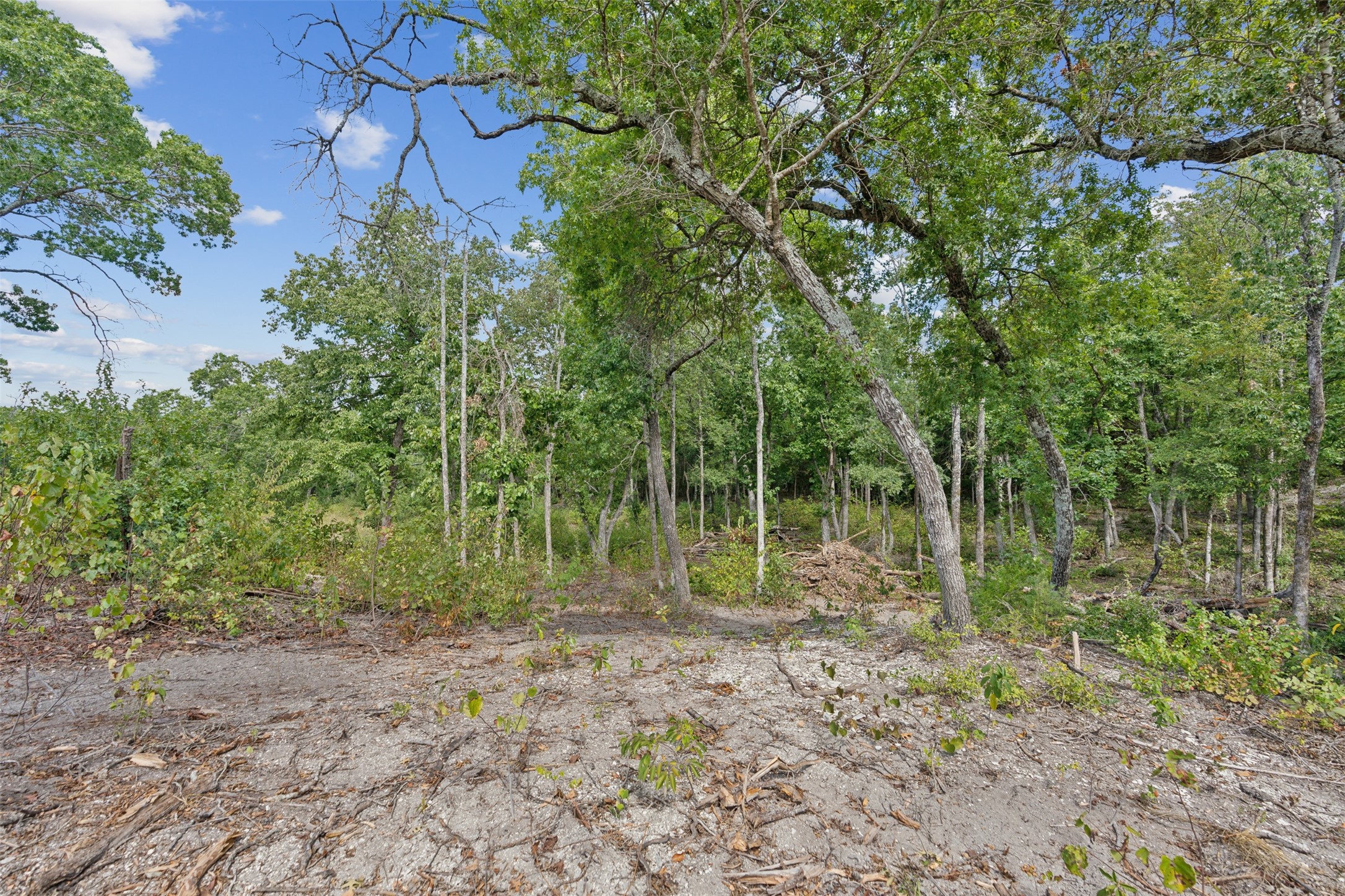 493 Deer Creek Trail Whitewright TX 75491