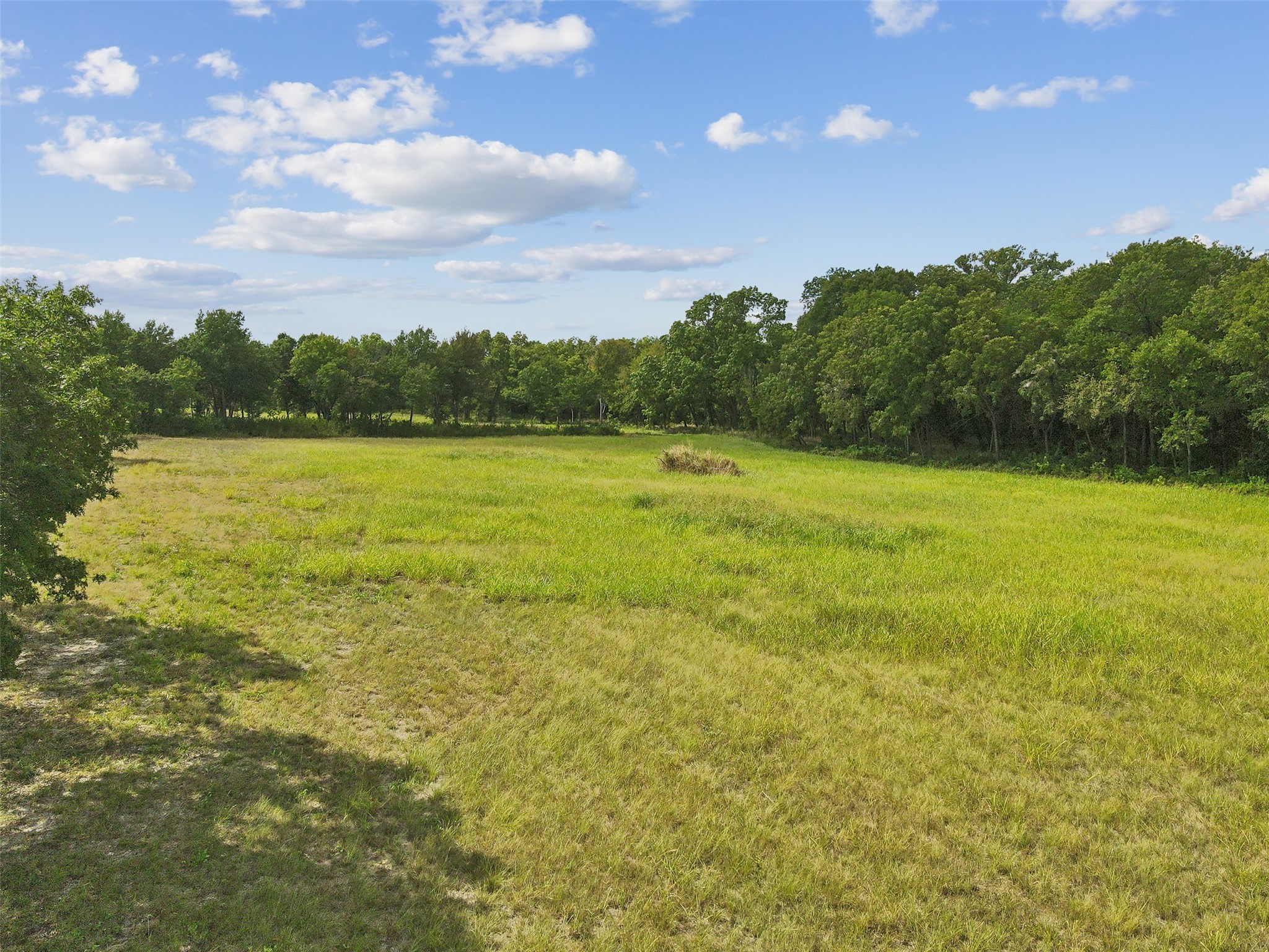 493 Deer Creek Trail Whitewright TX 75491
