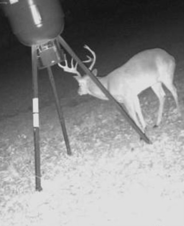 493 Deer Creek Trail Whitewright TX 75491