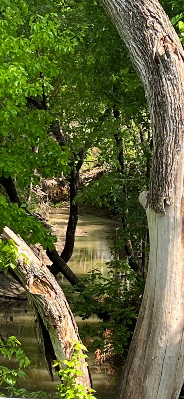 493 Deer Creek Trail Whitewright TX 75491