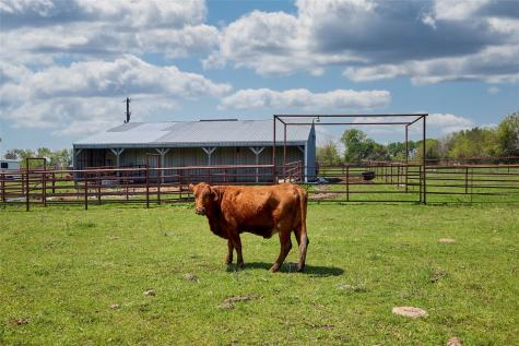 0000 County Road 5040 Leonard TX 75452