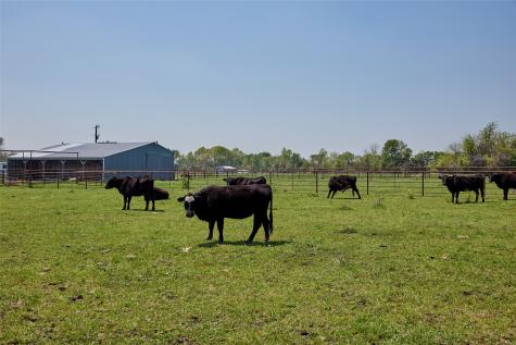 0000 County Road 5040 Leonard TX 75452