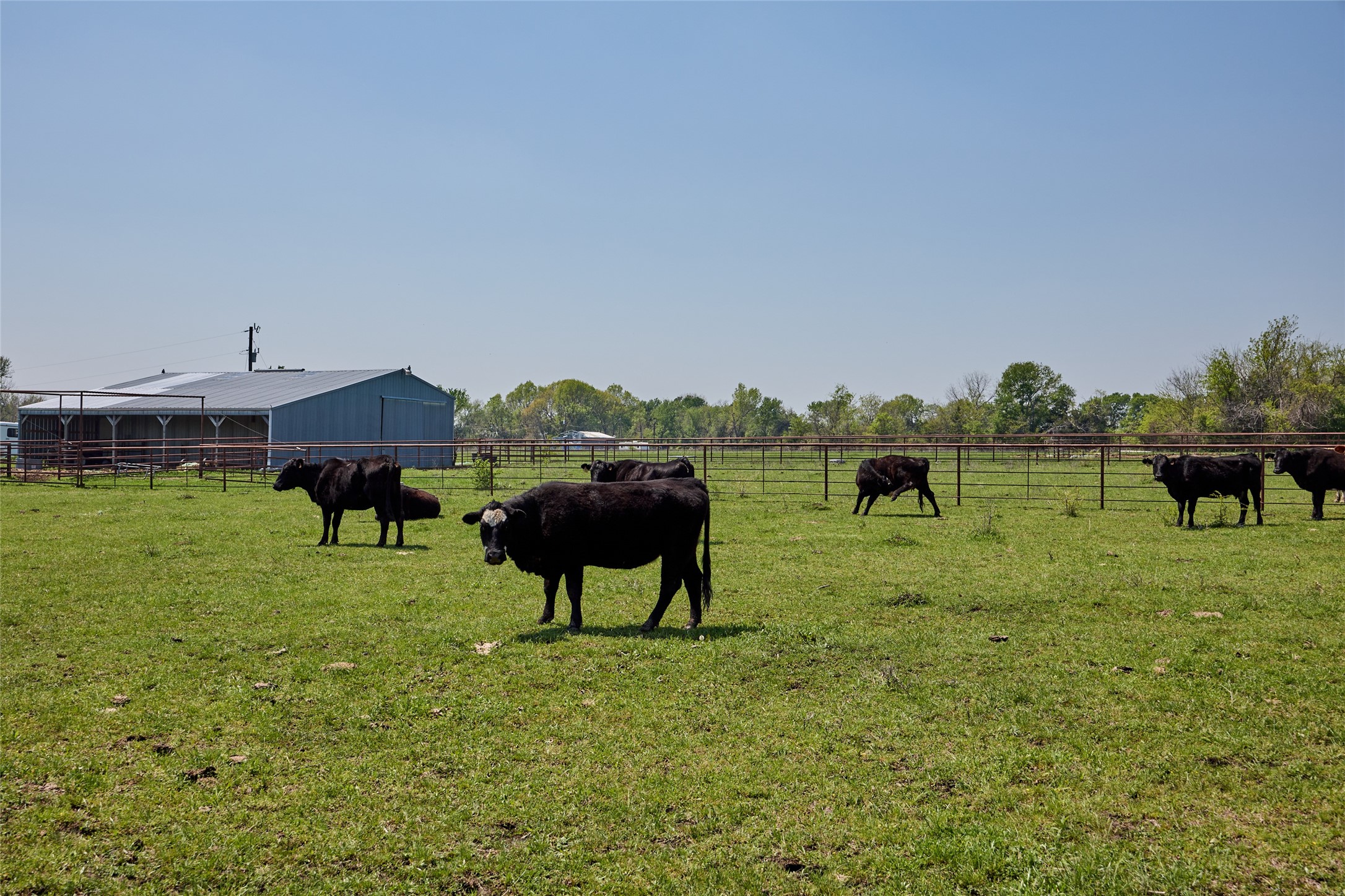 0000 County Road 5040 Leonard TX 75452
