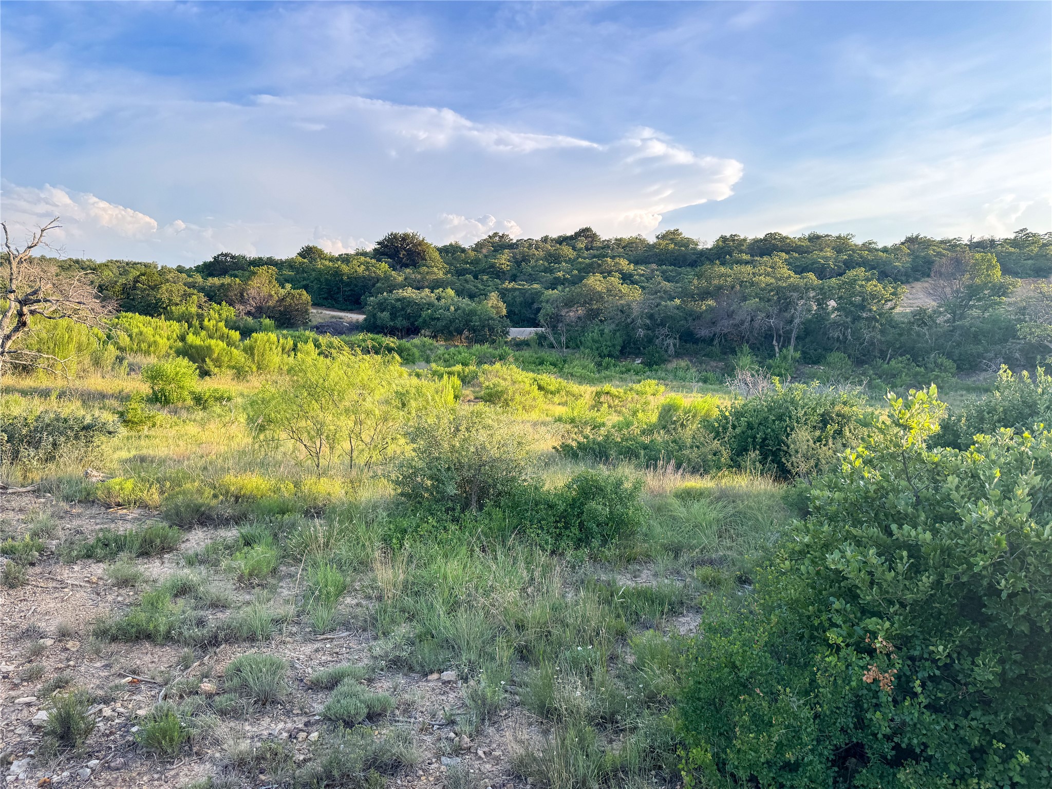 293 Hidden Shores Drive Cisco TX 76437