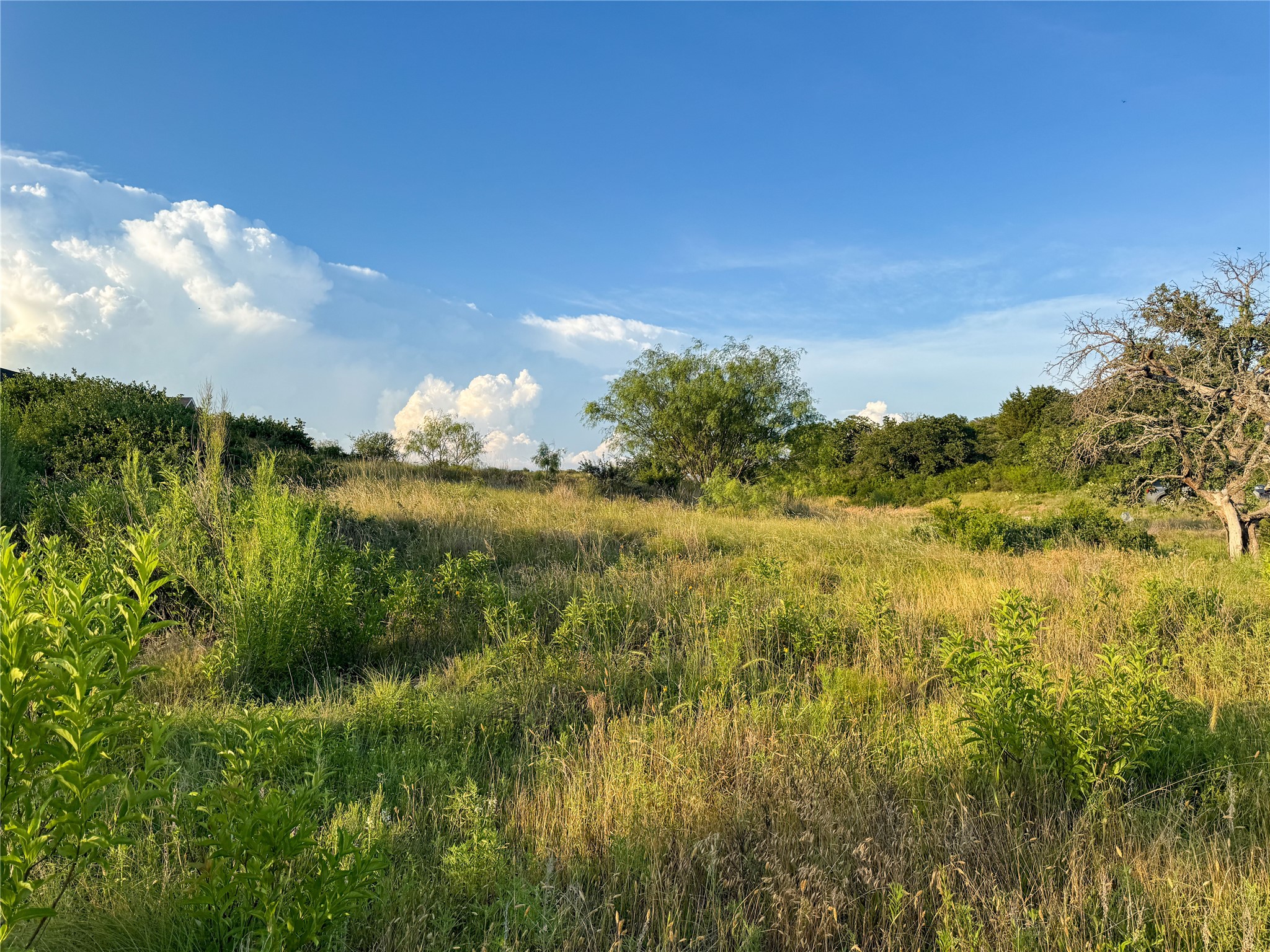 293 Hidden Shores Drive Cisco TX 76437
