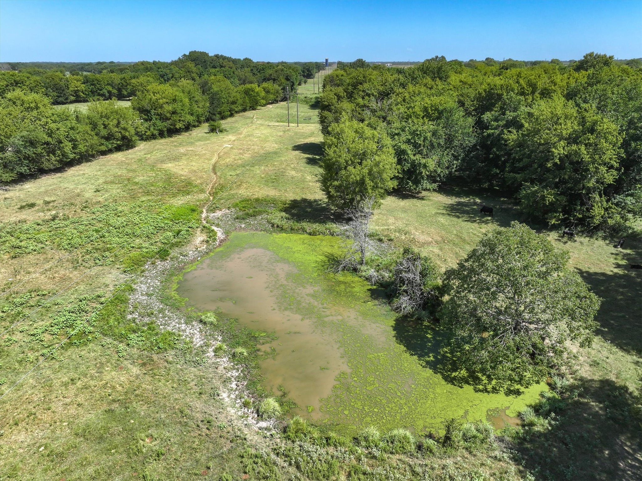 Tbd Vz County Road 3821 Wills Point TX 75169