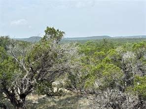 Tbd Cr2010 Road Glen Rose TX 76043