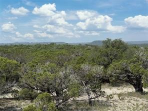Tbd Cr2010 Road Glen Rose TX 76043