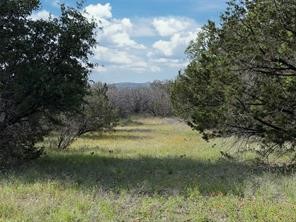 Tbd Cr2010 Road Glen Rose TX 76043