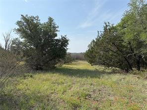Tbd Cr2010 Road Glen Rose TX 76043