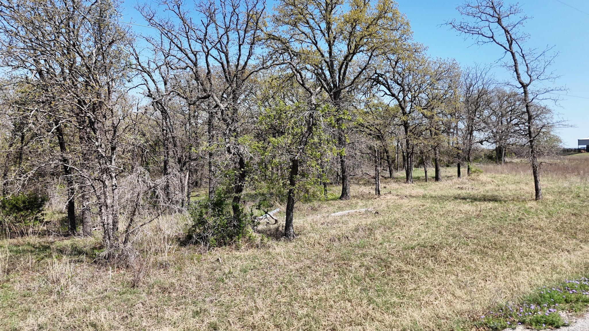 280 Private Road 2162 Iredell TX 76649