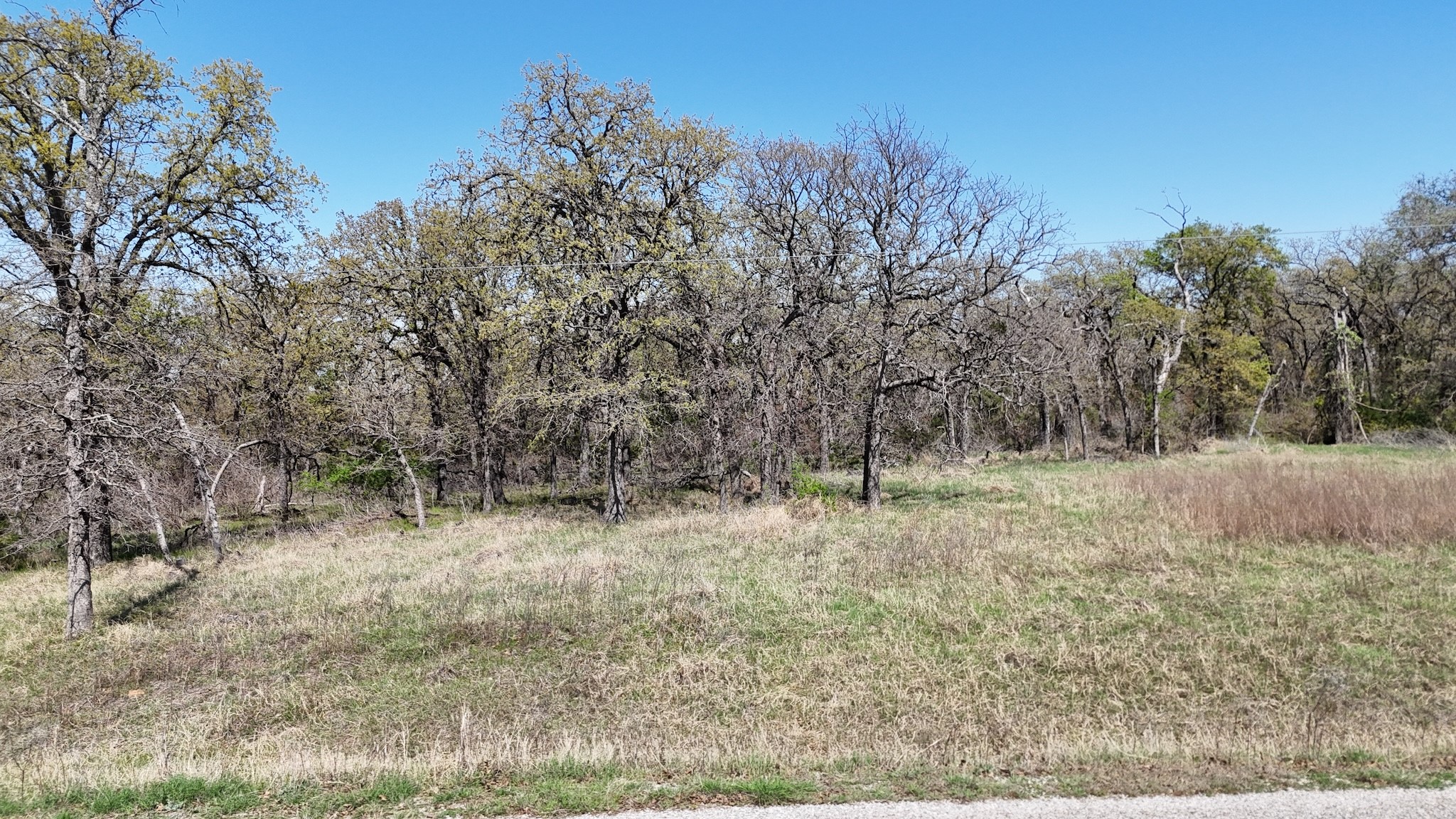 280 Private Road 2162 Iredell TX 76649