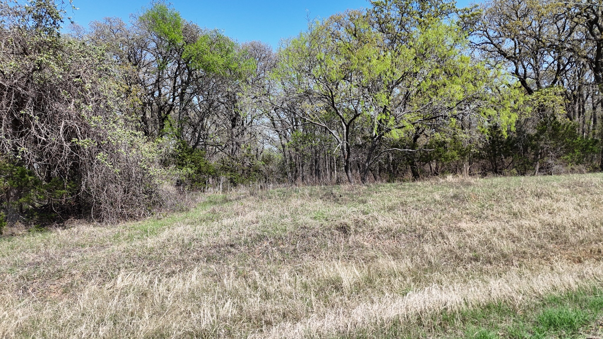 280 Private Road 2162 Iredell TX 76649