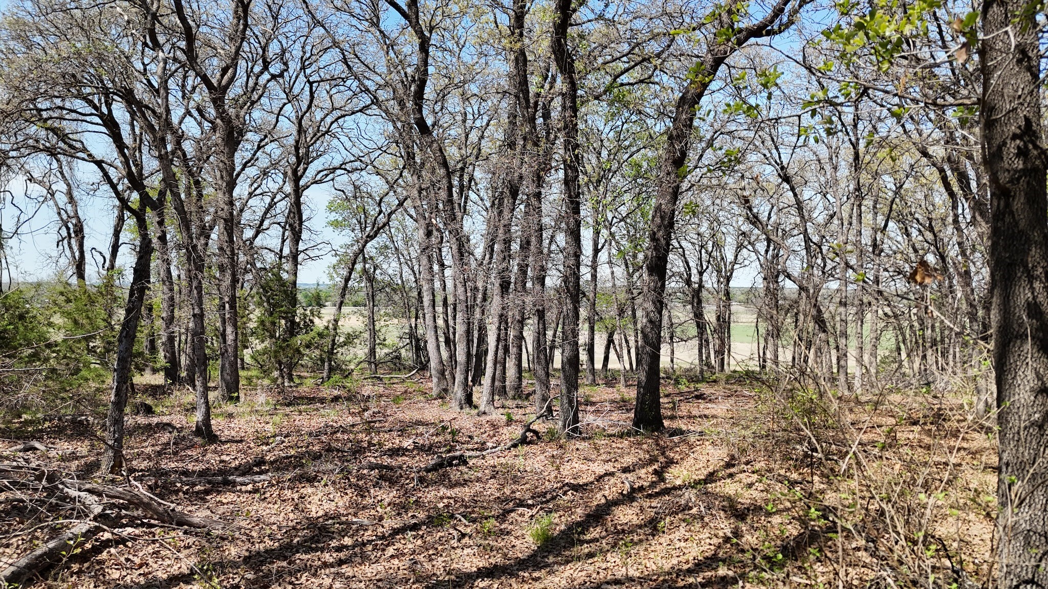 280 Private Road 2162 Iredell TX 76649