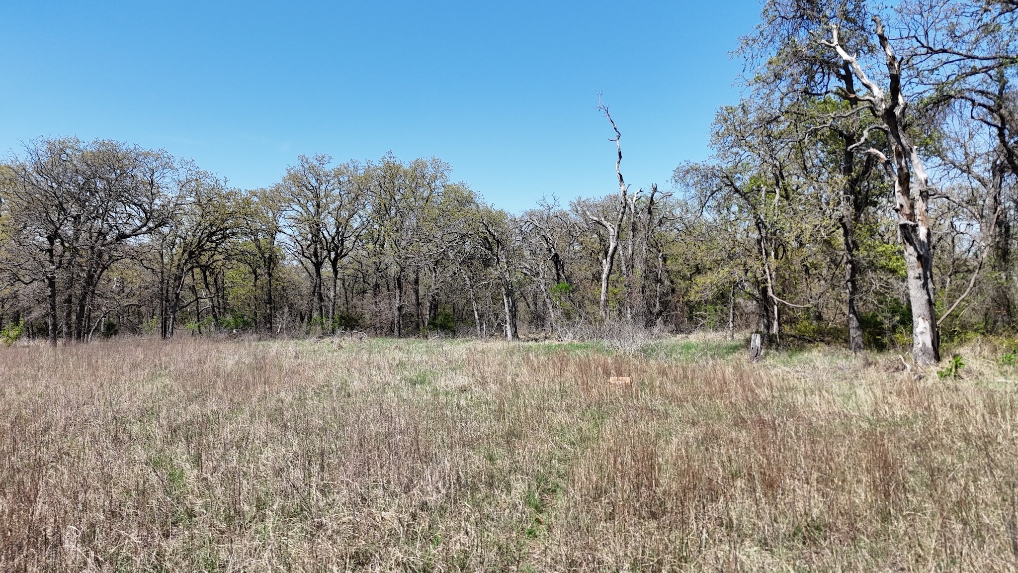 280 Private Road 2162 Iredell TX 76649