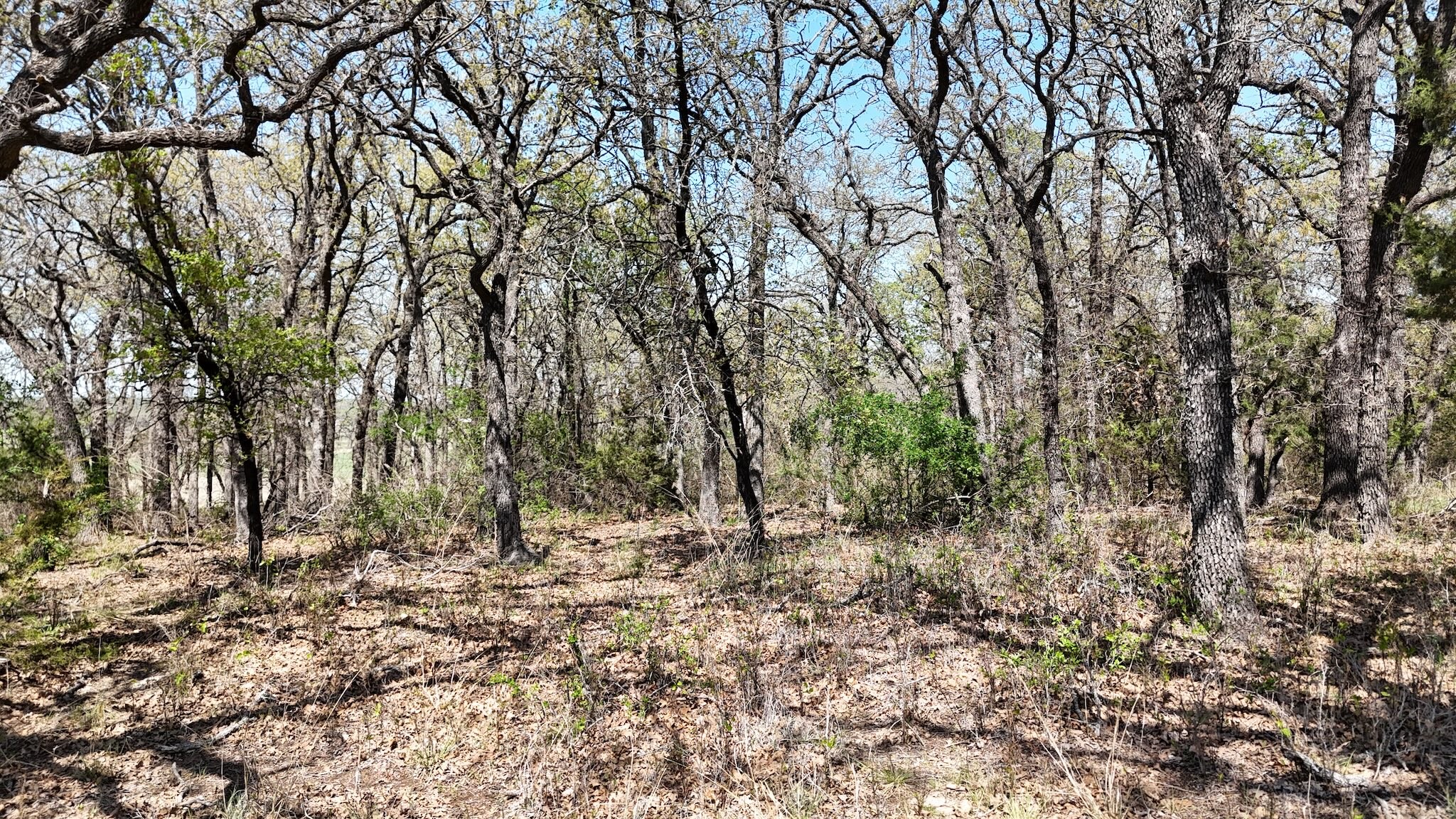 280 Private Road 2162 Iredell TX 76649
