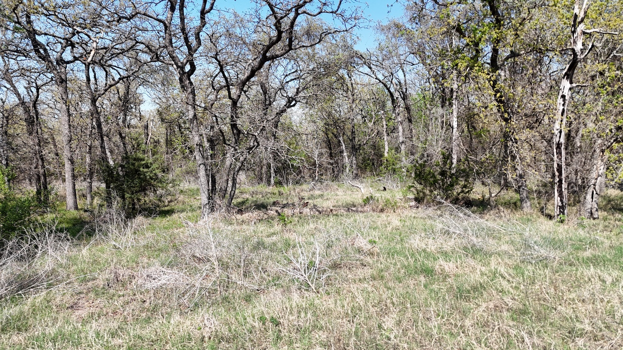 280 Private Road 2162 Iredell TX 76649