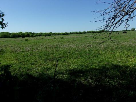 3442 County Road 15100 Blossom TX 75416