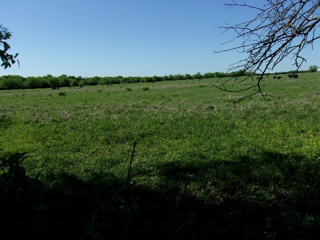 3442 County Road 15100 Blossom TX 75416