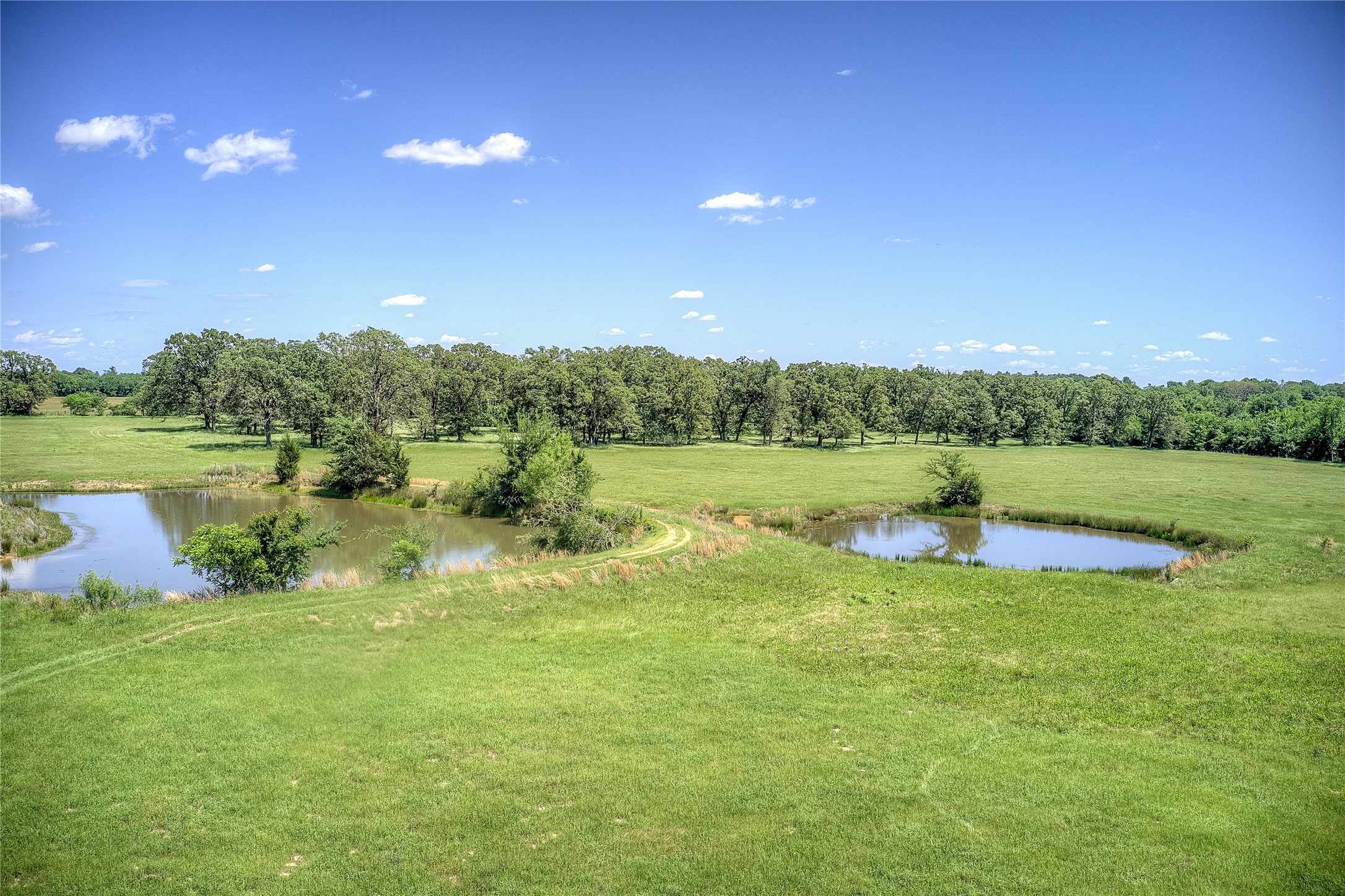 Tbd County Road 2301 Sulphur Springs TX 75482