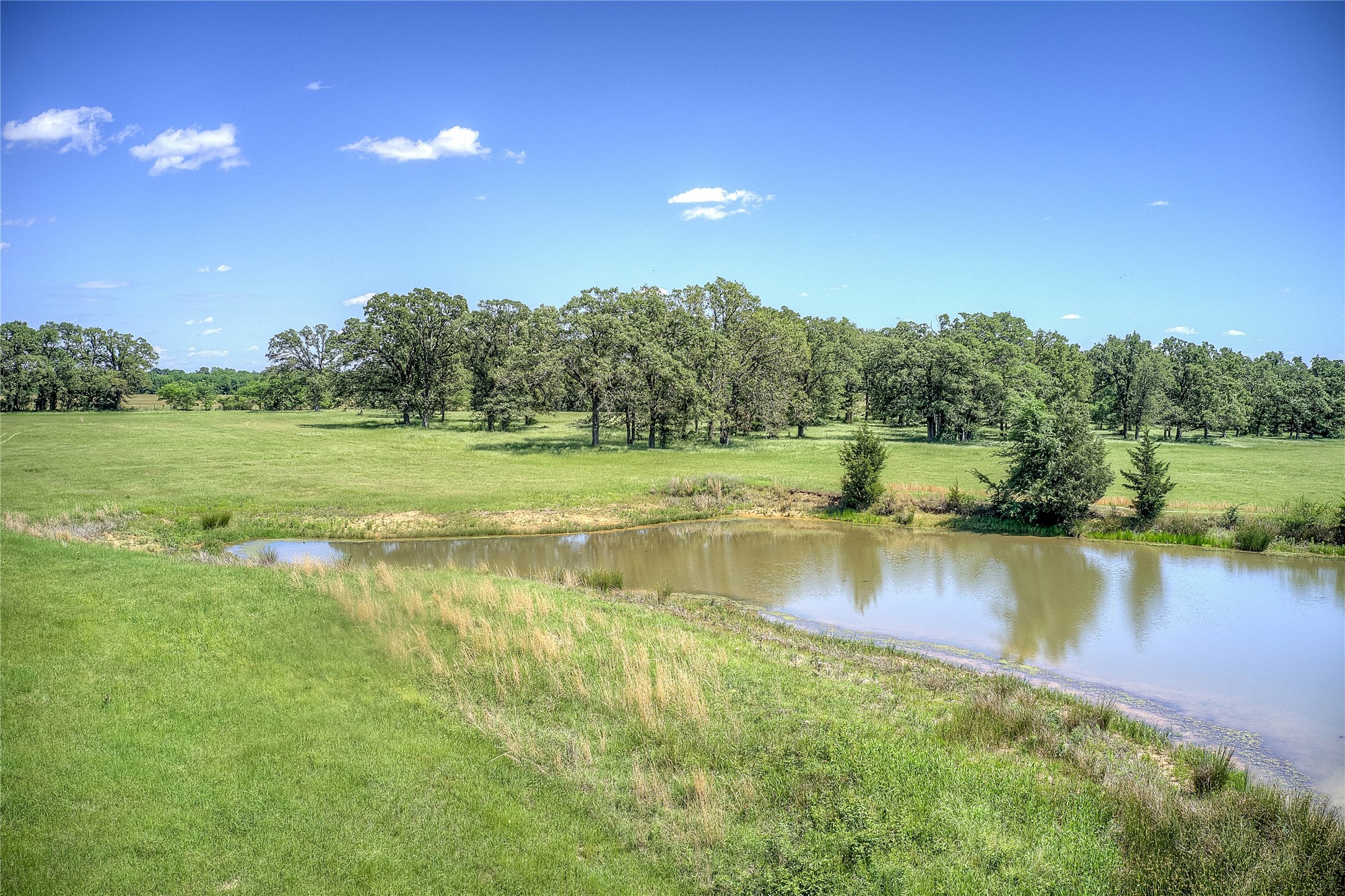 Tbd County Road 2301 Sulphur Springs TX 75482