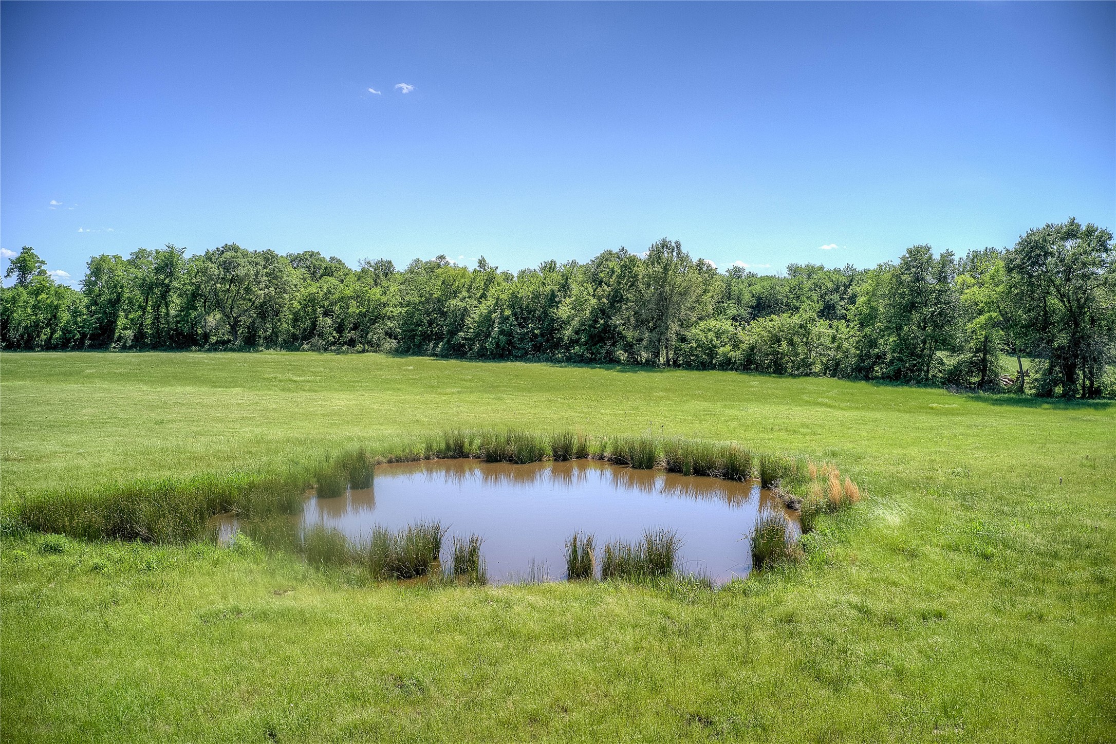 Tbd County Road 2301 Sulphur Springs TX 75482