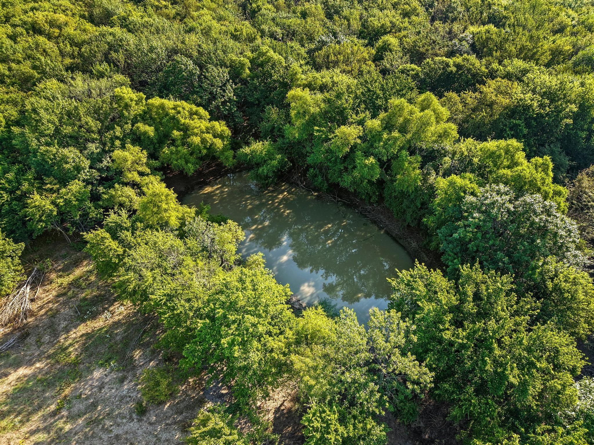 8194 Private Road 5406 Blue Ridge TX 75424