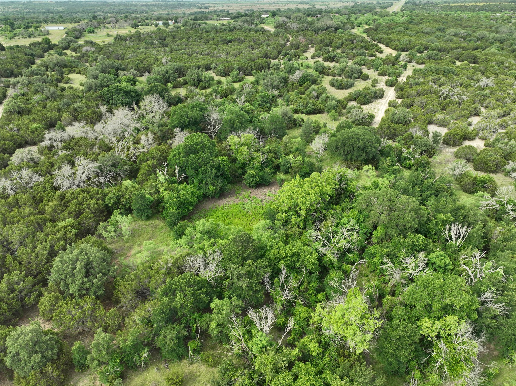 Tbd Fm 2905 Hamilton TX 76531