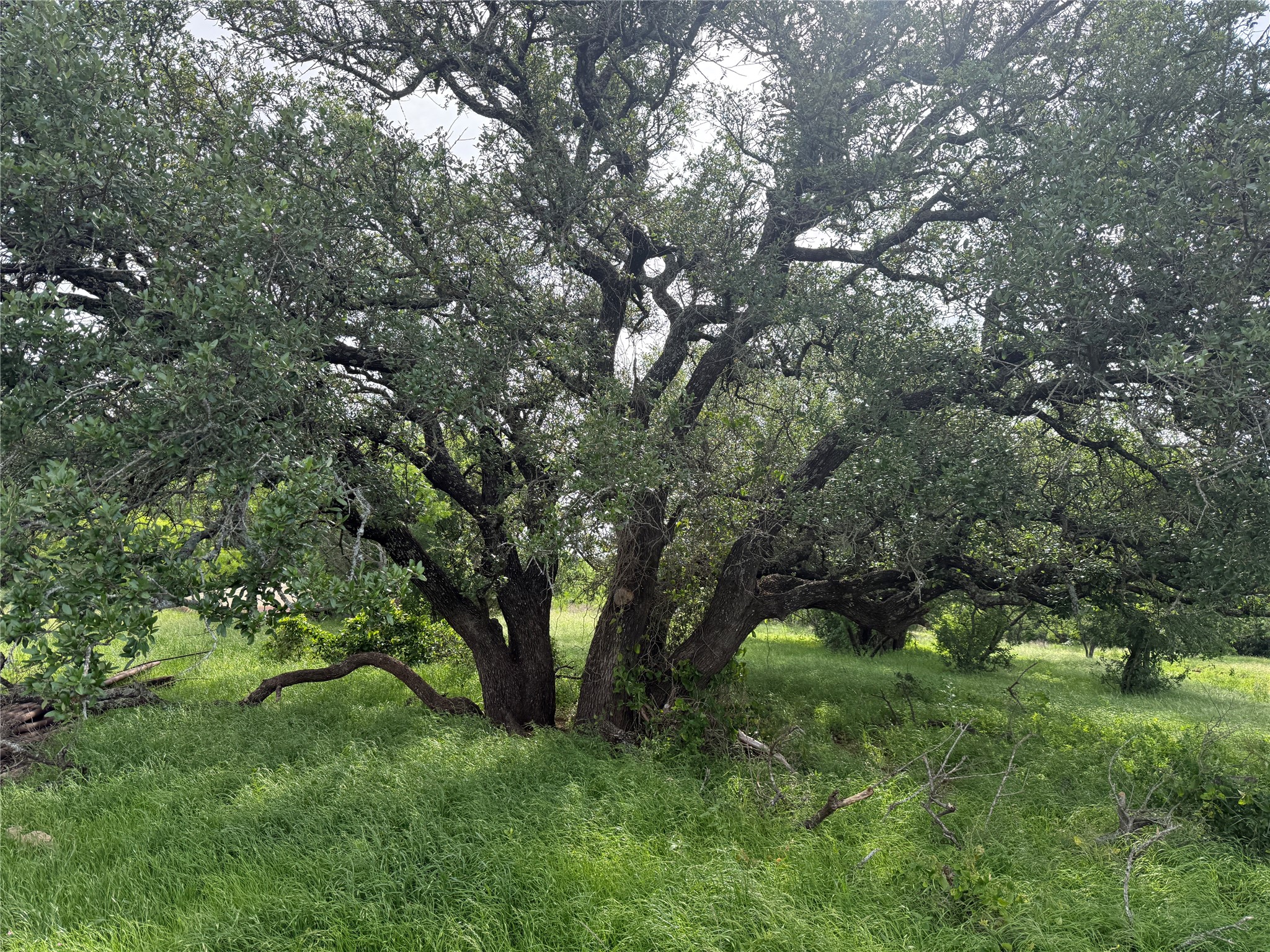 Tbd Fm 2905 Hamilton TX 76531