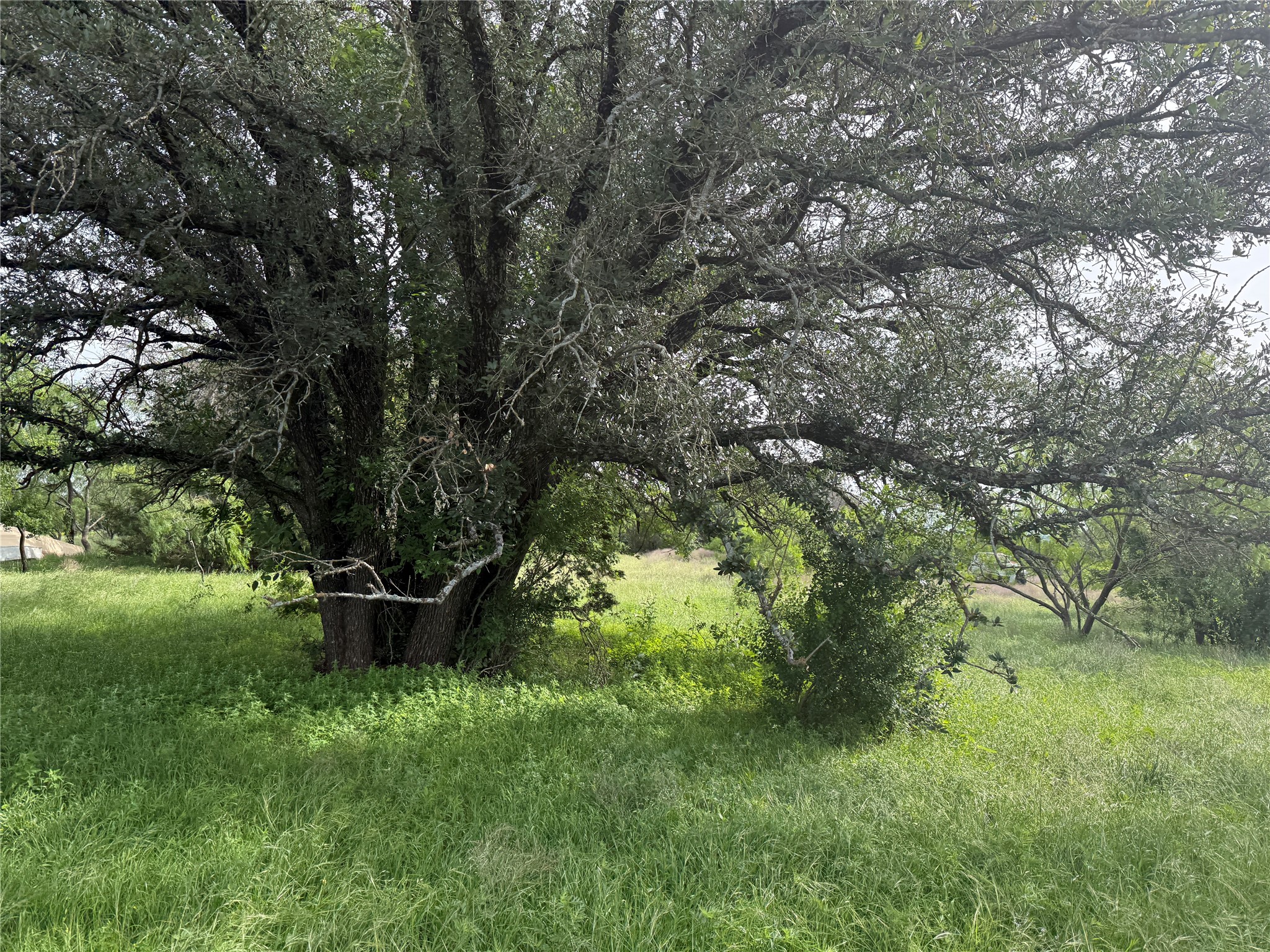 Tbd Fm 2905 Hamilton TX 76531