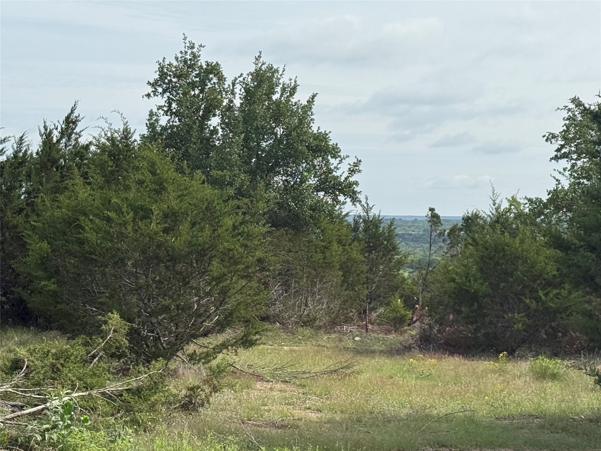 Tbd Fm 2905 Hamilton TX 76531