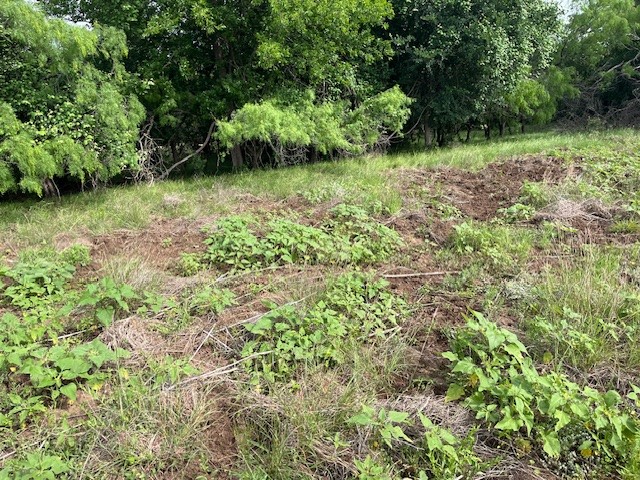 Tbd Fm 2905 Hamilton TX 76531