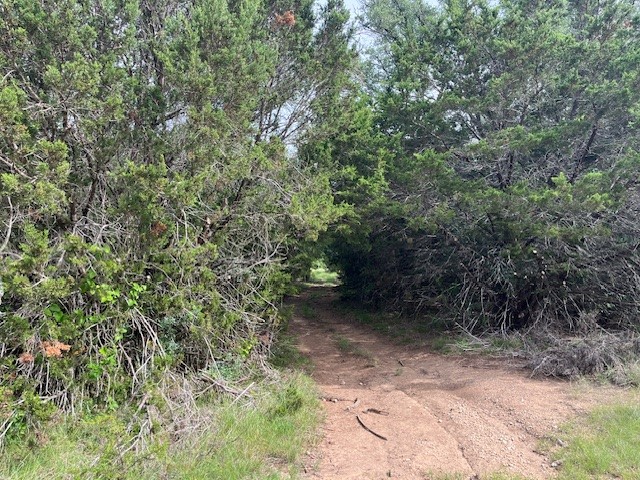 Tbd Fm 2905 Hamilton TX 76531