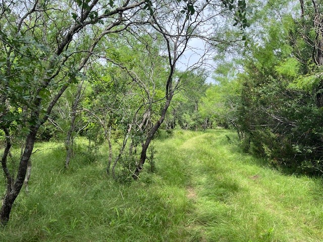 Tbd Fm 2905 Hamilton TX 76531