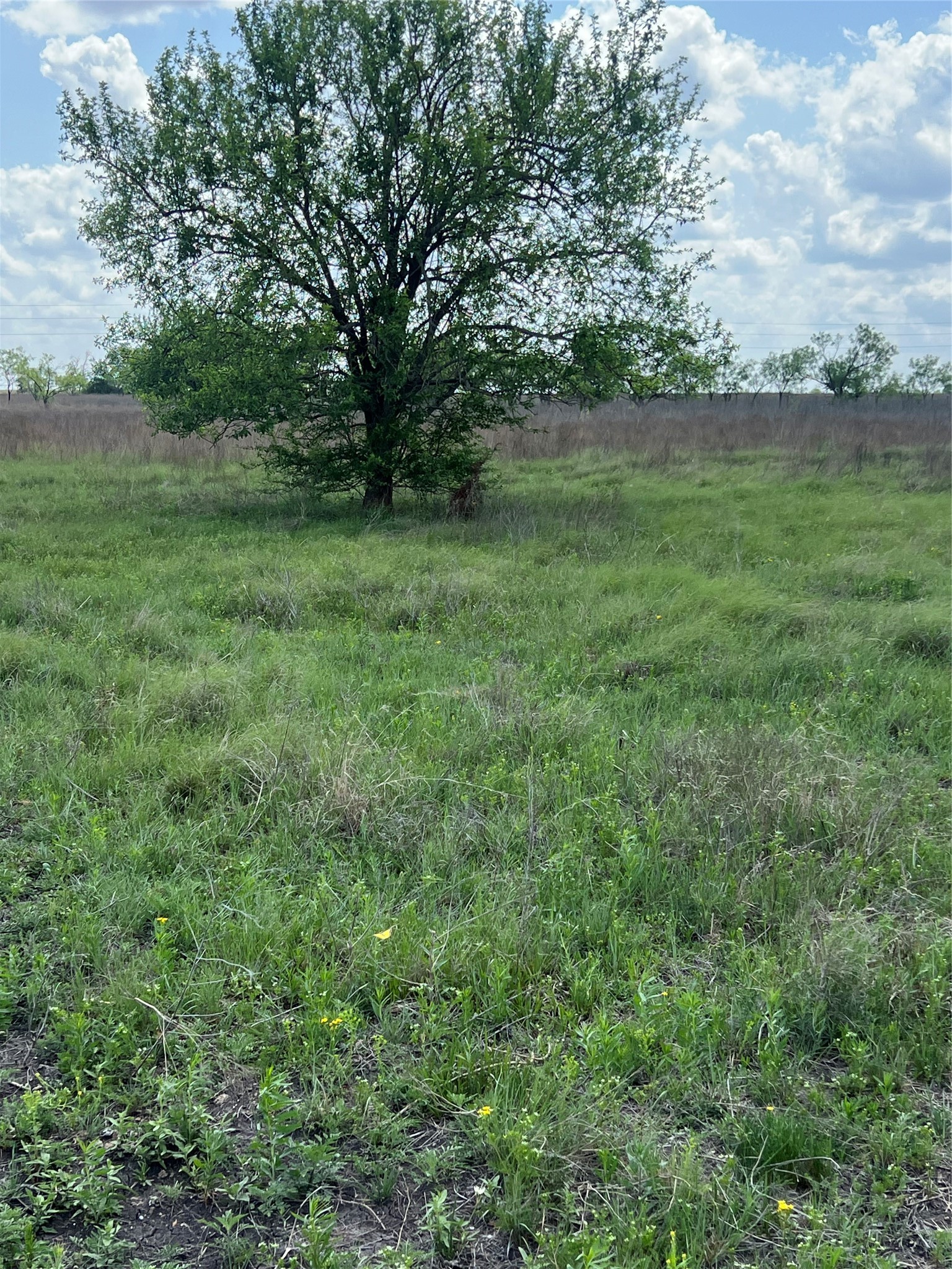 #28 Private Road 4311 Jonesboro TX 76531