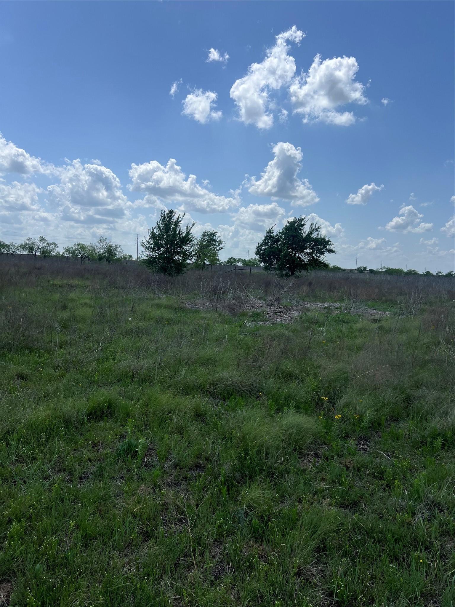 #28 Private Road 4311 Jonesboro TX 76531