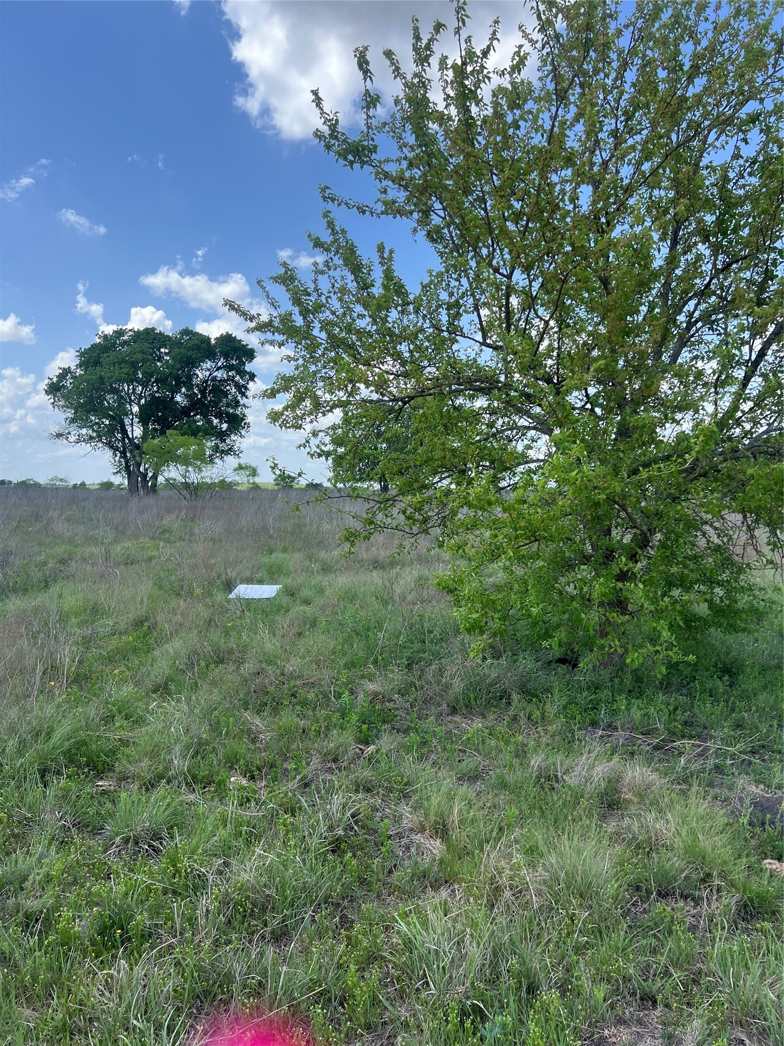 #28 Private Road 4311 Jonesboro TX 76531
