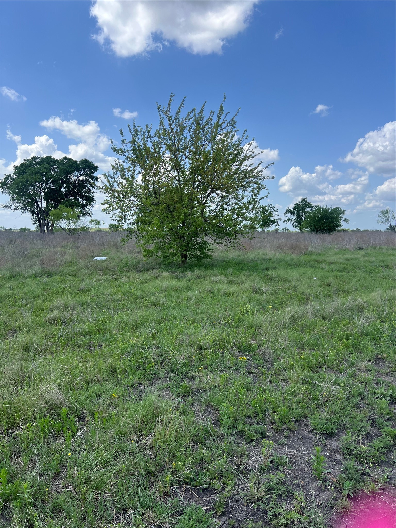 #28 Private Road 4311 Jonesboro TX 76531