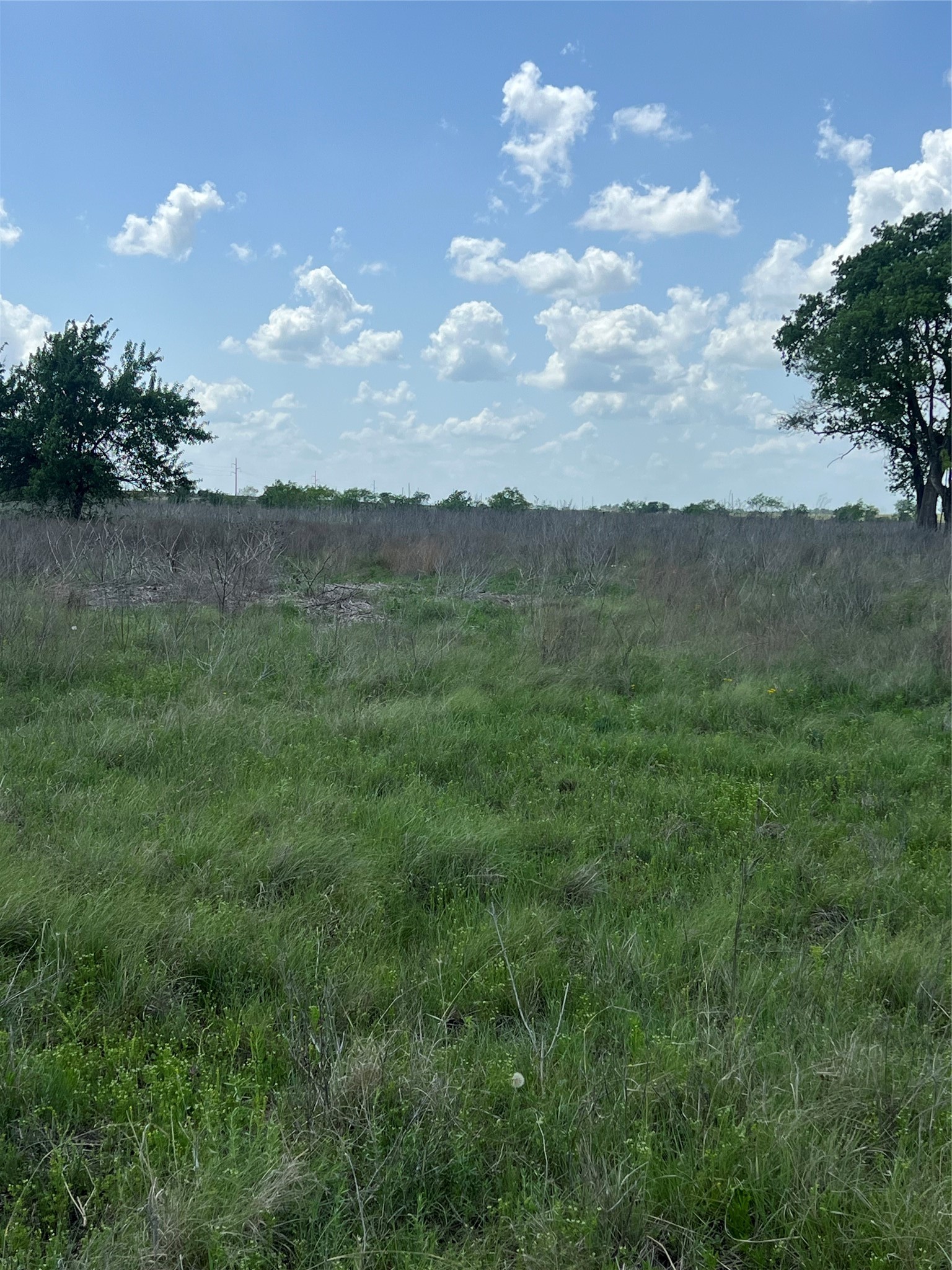 #28 Private Road 4311 Jonesboro TX 76531