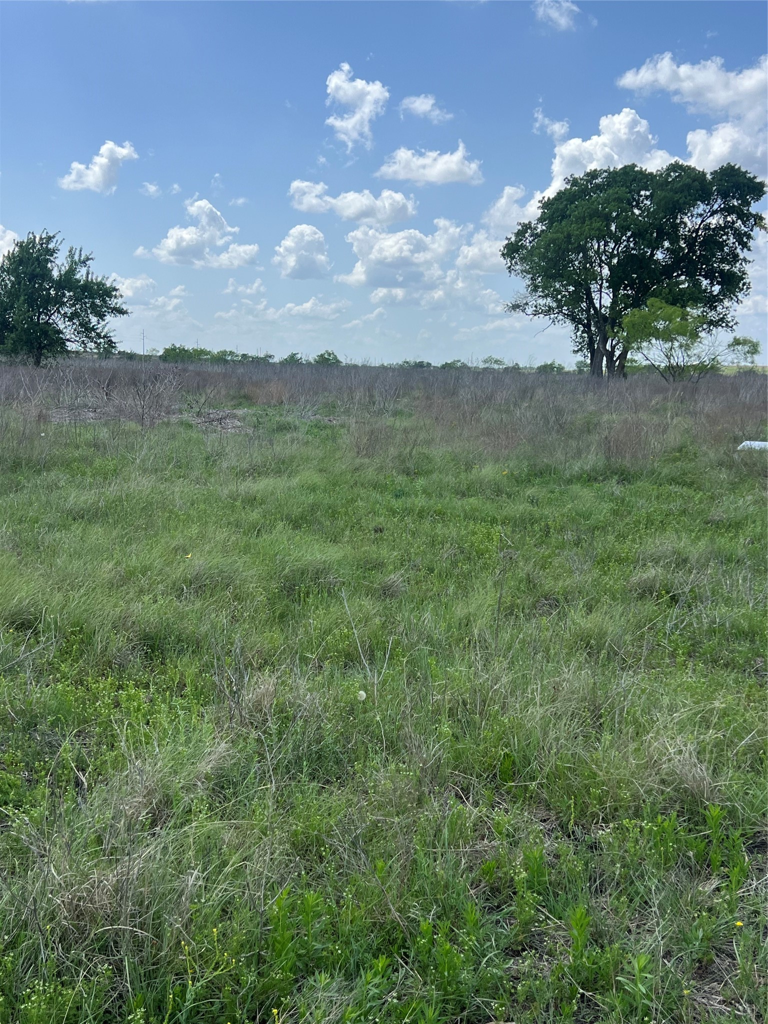 #28 Private Road 4311 Jonesboro TX 76531
