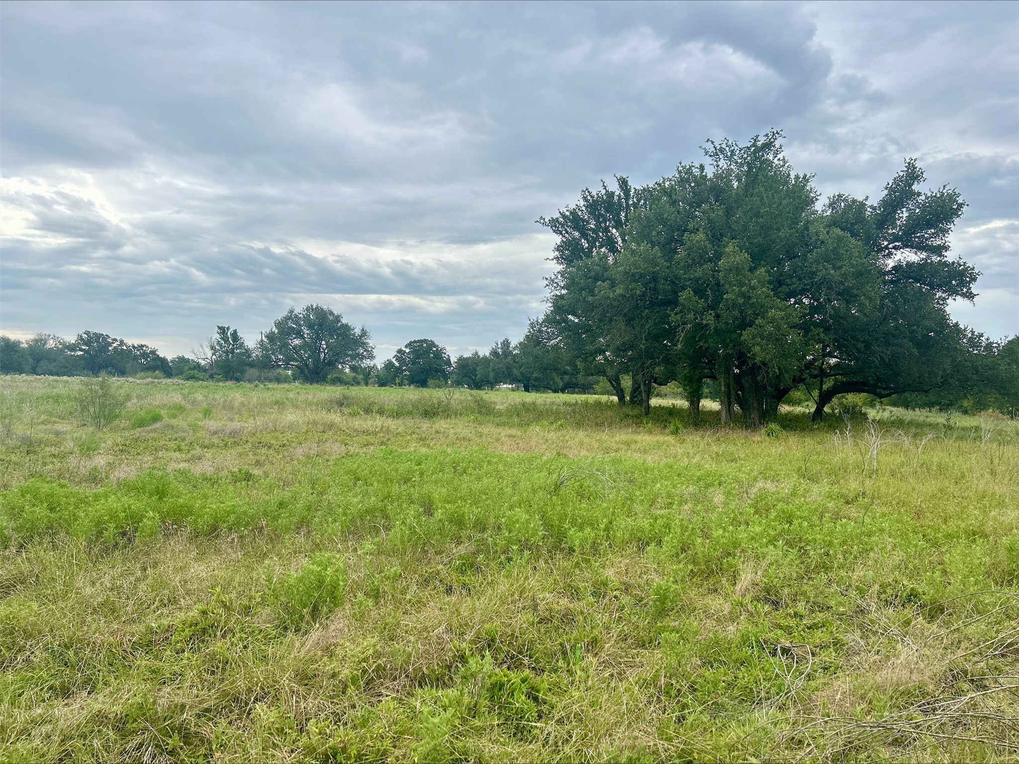 Lot 5 County Road 380 Dublin TX 76446