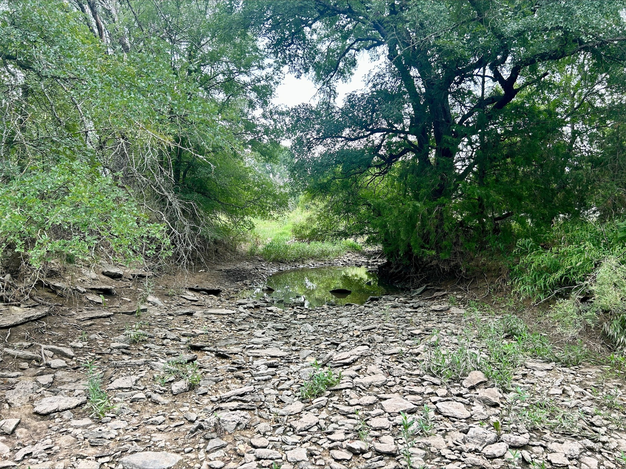 Lot 5 County Road 380 Dublin TX 76446