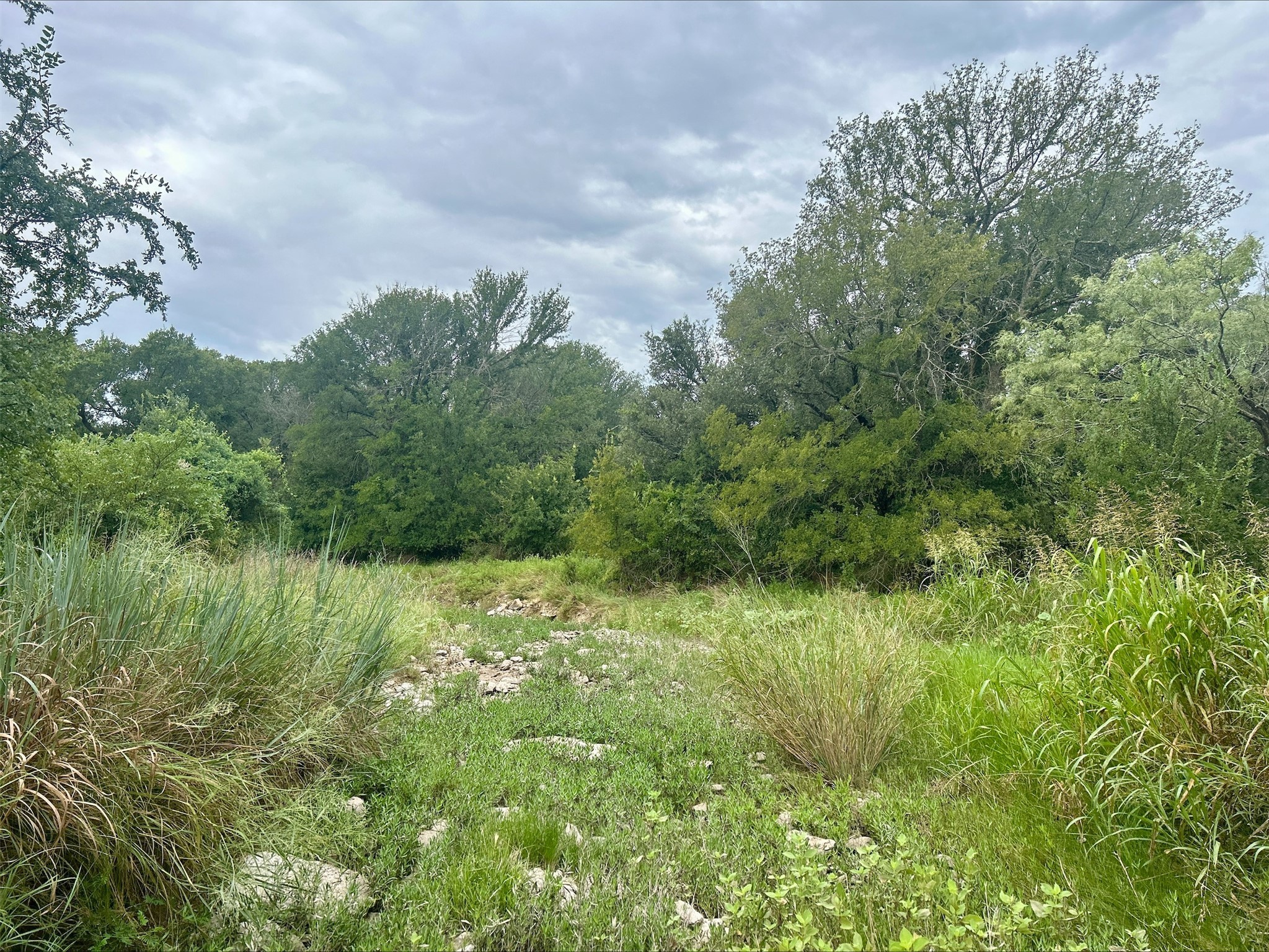Lot 5 County Road 380 Dublin TX 76446