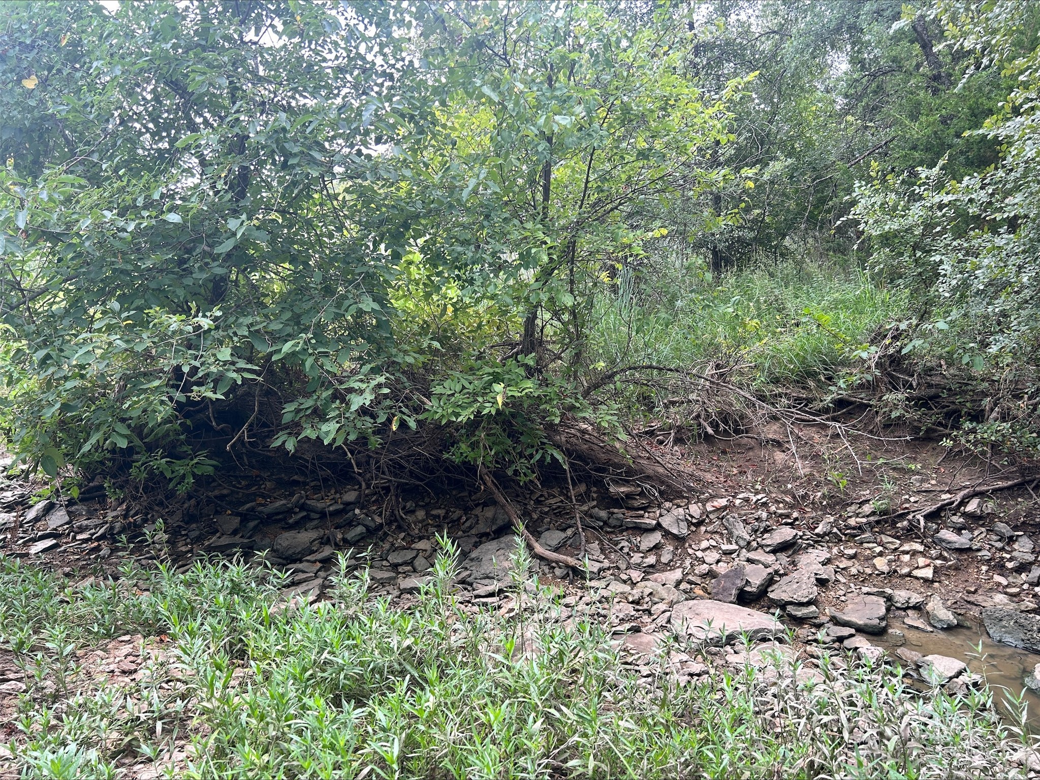 Lot 5 County Road 380 Dublin TX 76446