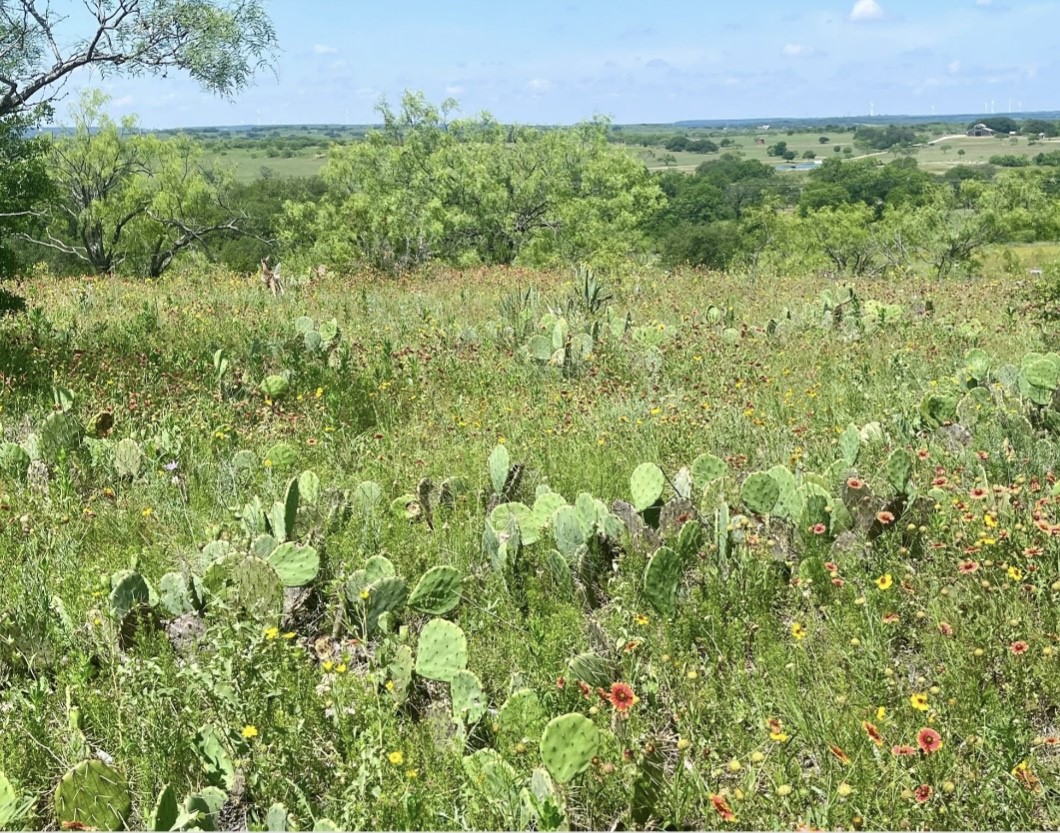 Lot 59 Comanche Lake Road Comanche TX 76442