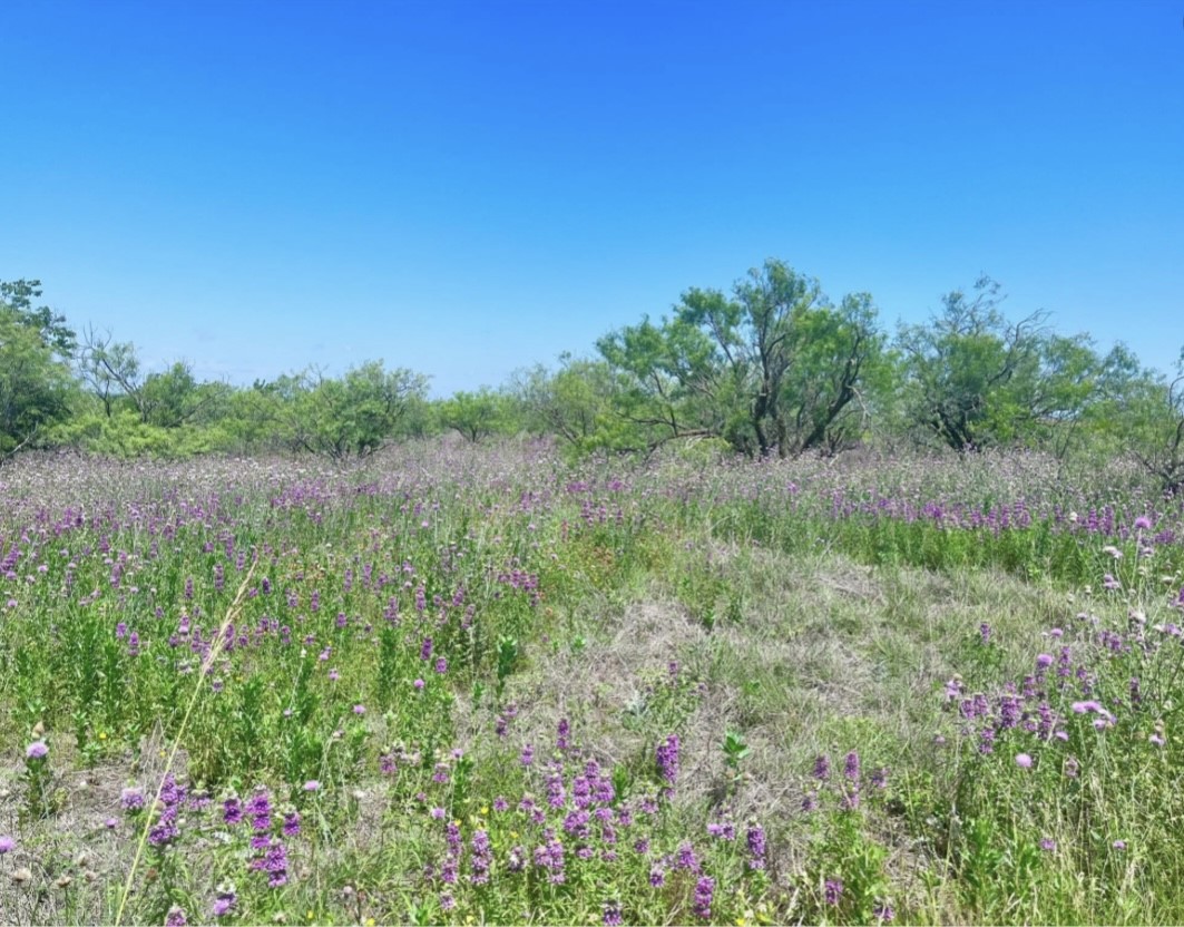 Lot 59 Comanche Lake Road Comanche TX 76442