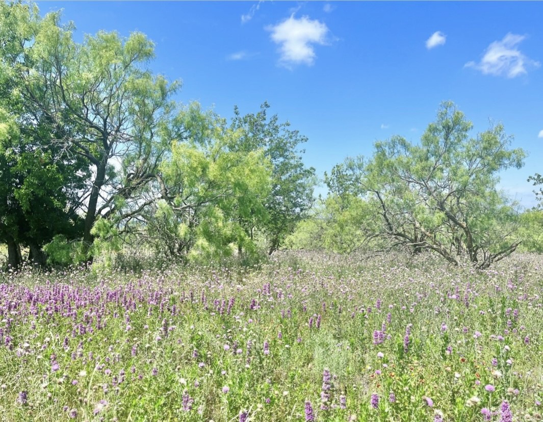 Lot 59 Comanche Lake Road Comanche TX 76442