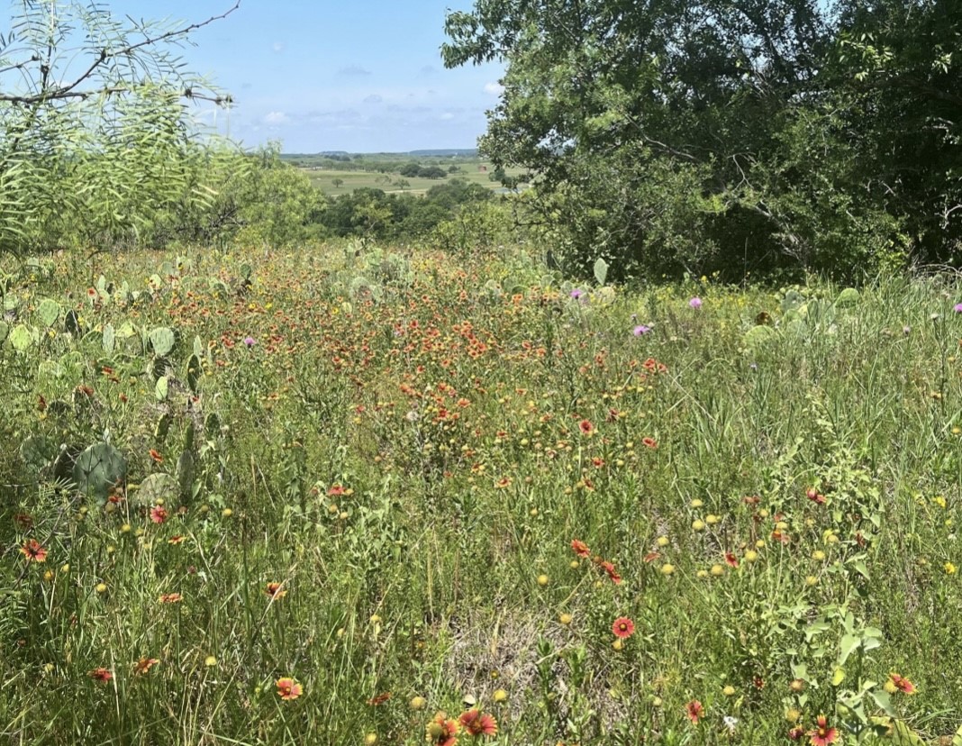 Lot 59 Comanche Lake Road Comanche TX 76442