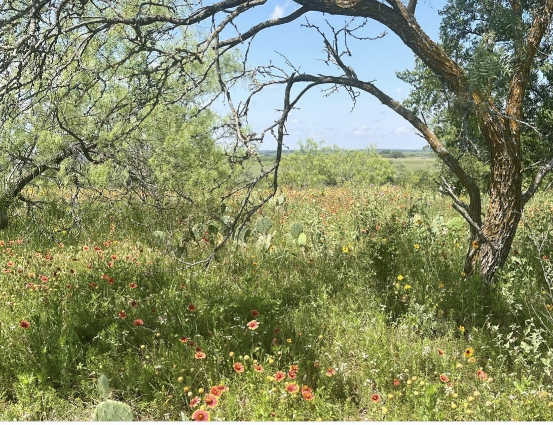 Lot 59 Comanche Lake Road Comanche TX 76442